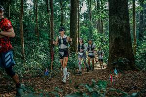 BIB: 
                            <button type="button" onclick="openModal(26131762)" class="btn btn-primary btn-sm float-right btn-popup" data-toggle="modal" data-target=".modal-high-quality">
                        <i class="fas fa-shopping-cart"></i> Add to Cart
                    </button>
                                            <button type="button" onclick="isThisMe(26131762, true)" class="btn btn-success btn-sm float-right btn-popup btn-isme hidden" data-toggle="tooltip" data-placement="bottom" title="นี่คือรูปของคุณใช่ไหม คลิกที่นี่เพื่อเอาเข้าอัลบั้ม">
                        <i class="fas fa-plus"></i> Add to album
                    </button>
                    <button type="button" onclick="isThisMe(26131762, false)" class="btn btn-warning btn-sm float-right btn-popup btn-isnotme hidden">
                        <i class="fas fa-ban"></i> Remove from album
                    </button>